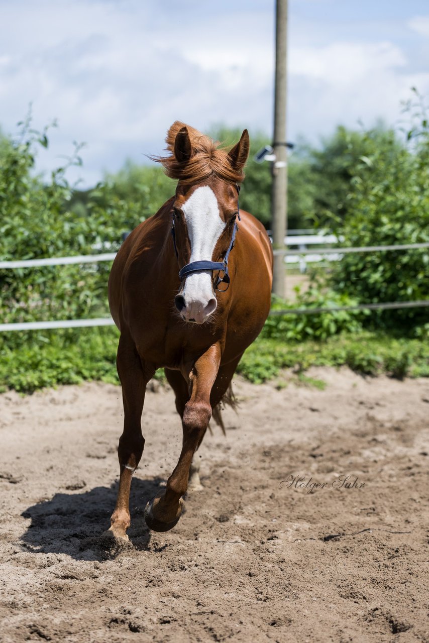 Bild 159 - Vivi